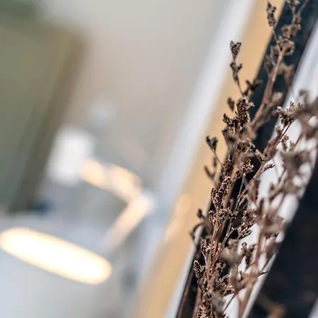 Bed & Breakfast Le Carre 1705 3*