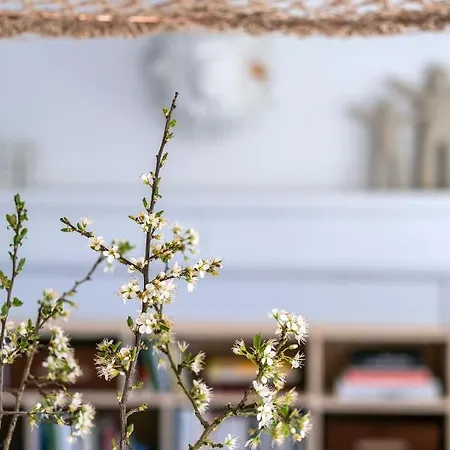 Nocleg ze śniadaniem Le Carre 1705 3*